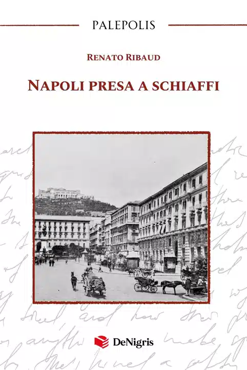 Copertina di Napoli presa a schiaffi di Renato Ribaud, De Nigris Editore